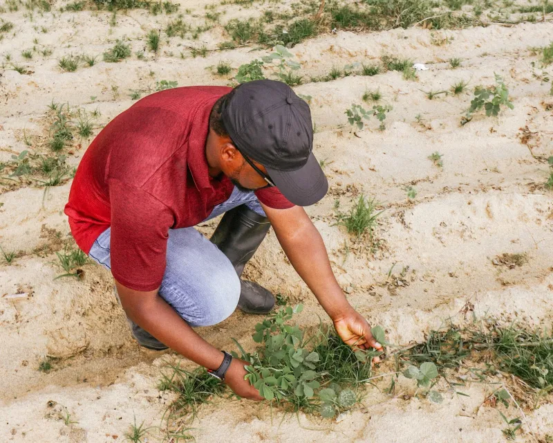 Dirt Rich: How the Rise of Carbon Farming Is Putting Money in Farmers' Pockets — and Carbon Back in the Ground